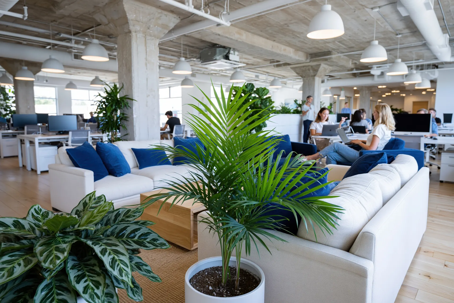 Small team working together in a bright, plant-filled office